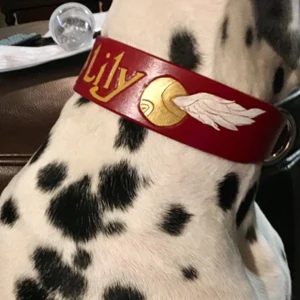 Custom Harry Potter Fan Dog Collar