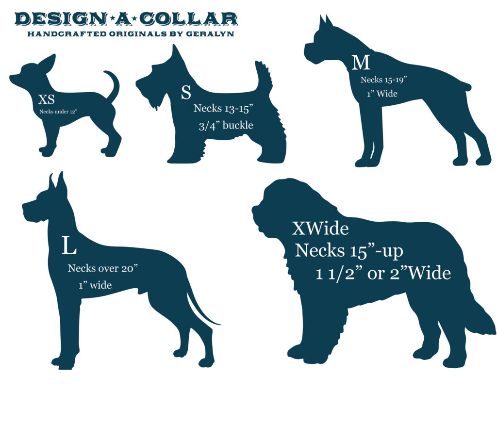 Image shows breed of dog with size of collar