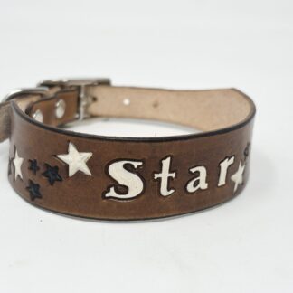 Star Leather Dog Collar