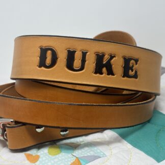 Range Tan collar and Leash set