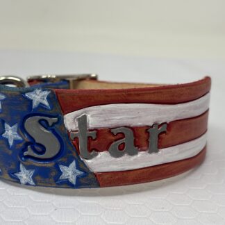Stars and Stripes Collar