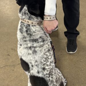 Matching Leather Set: Dog & Owner