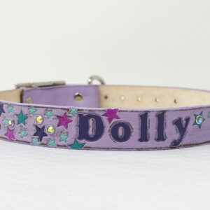 Distressed Lilac collar with stars
