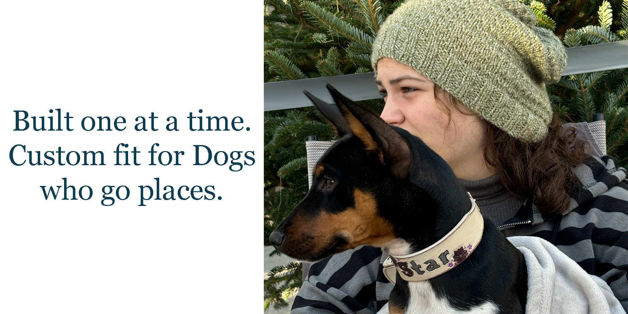 Custom leather collars