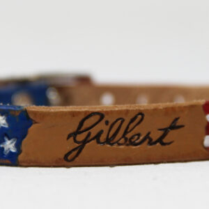 We the People Stars and Stripes