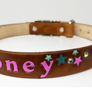 Timber Brown Star Collar