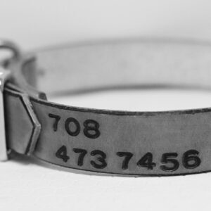 Phone number on dog collar